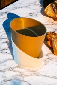 self watering plan tvanupvan