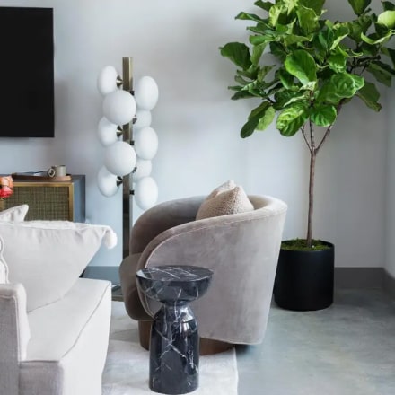 Vanupvan Indoor plant , Best plant nursery,