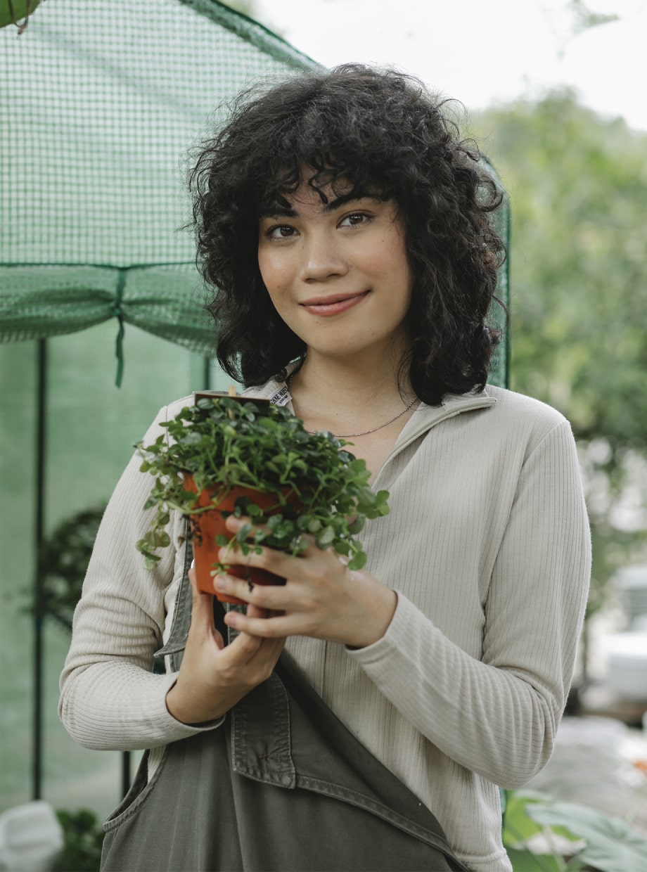 Vanupvan Indoor plant , Best plant nursery,