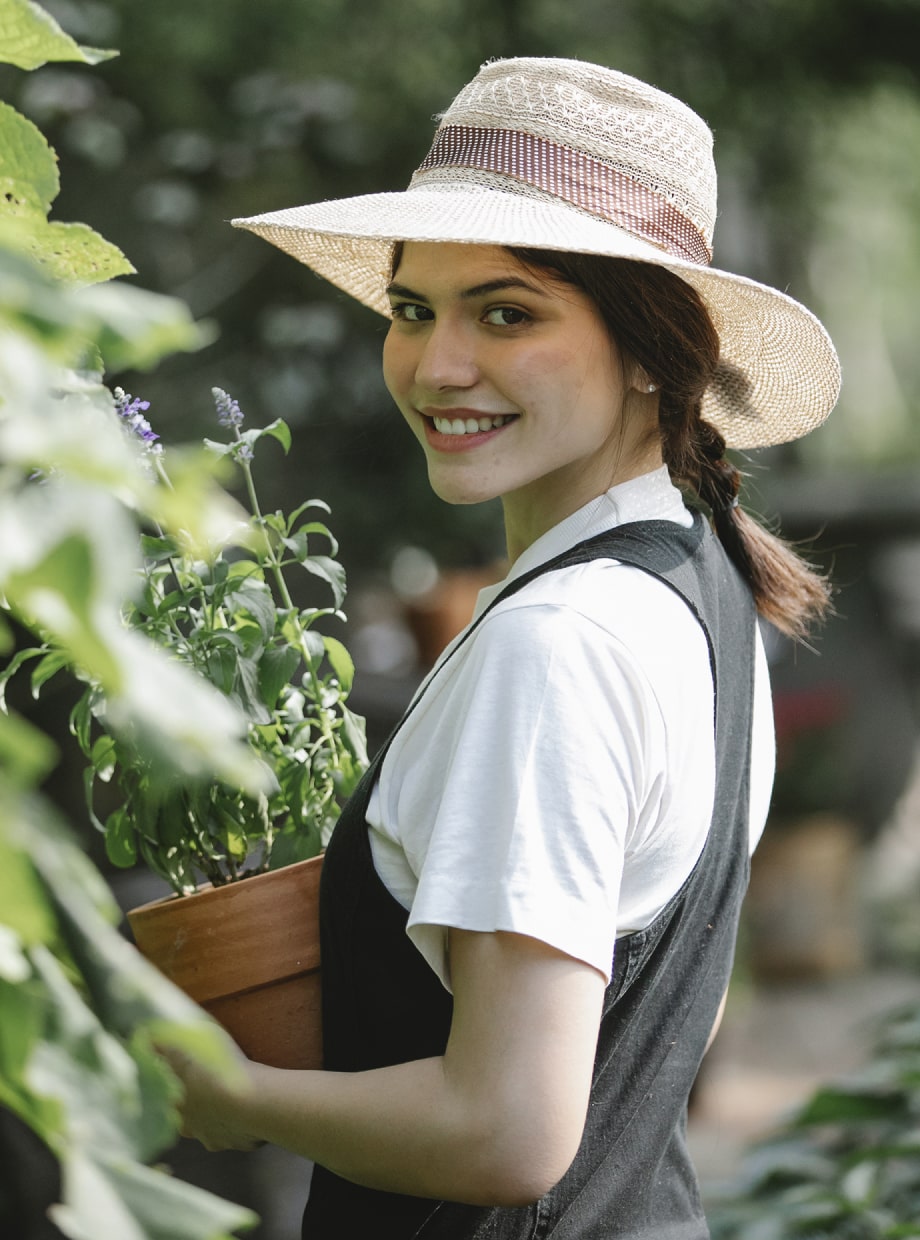 Vanupvan Indoor plant , Best plant nursery,