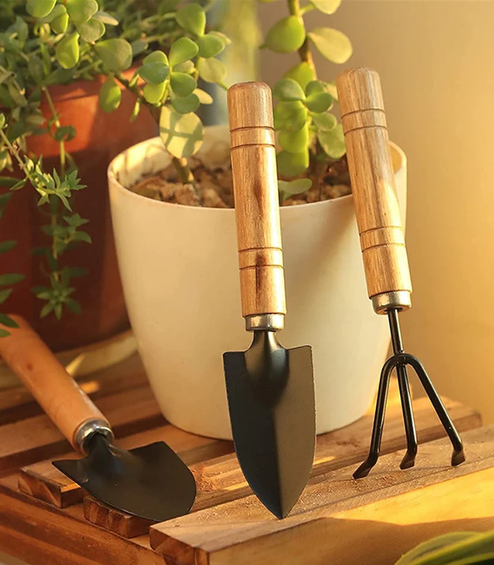 Mini gardening tool set with wooden handles – 3-piece kit for indoor plants, succulents, and home gardening care